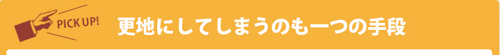 更地にしてしまうのも一つの手段