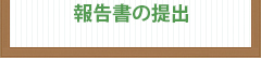 報告書の提出