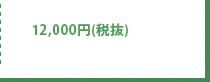 12,000円(税抜)